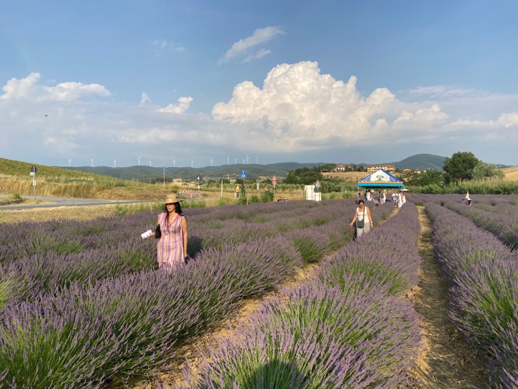 Lavanda Festival Dal 7 Giugno al 14 Luglio 2024